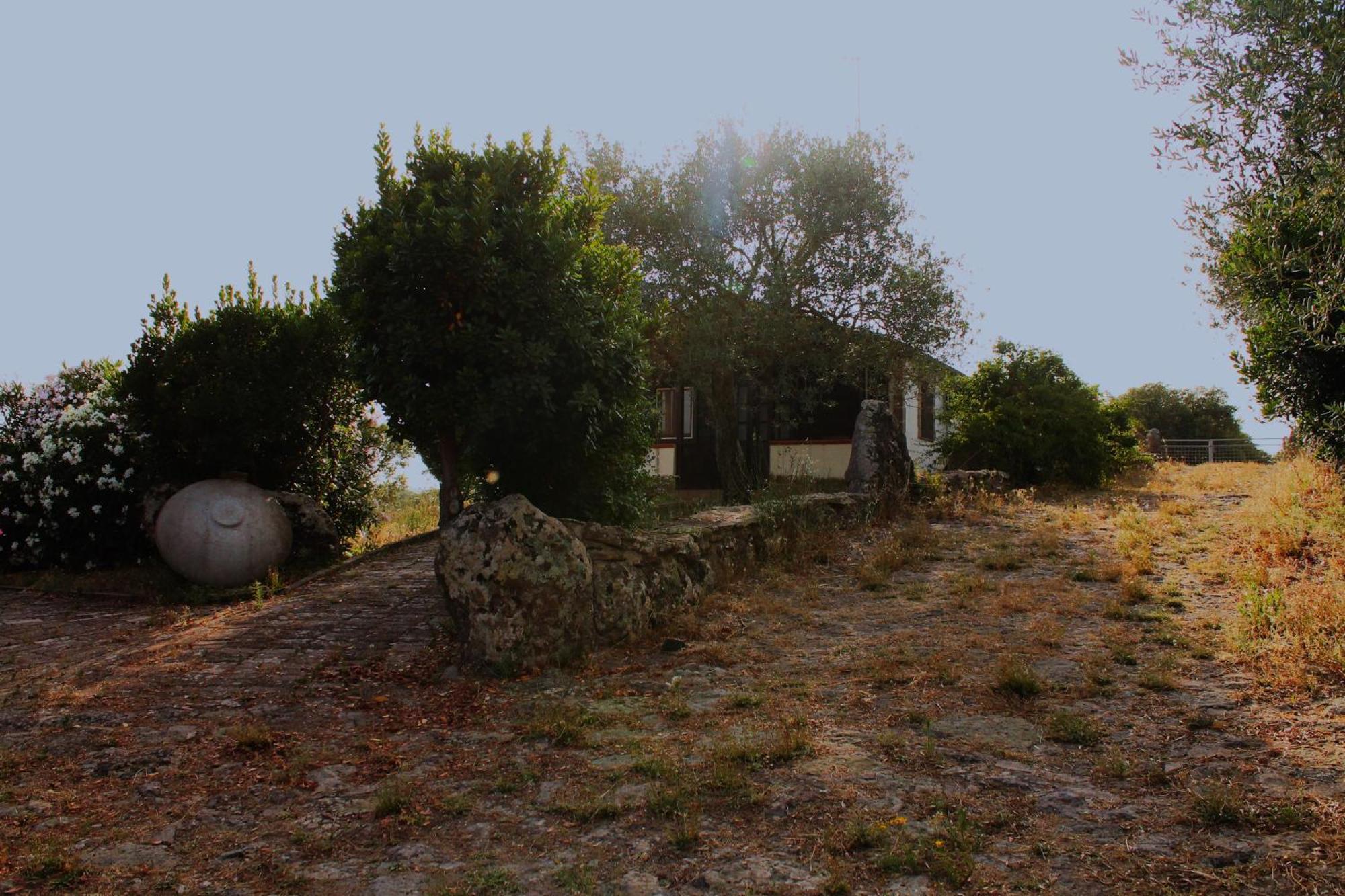 Agriturismo Su Recreu Ittiri Buitenkant foto