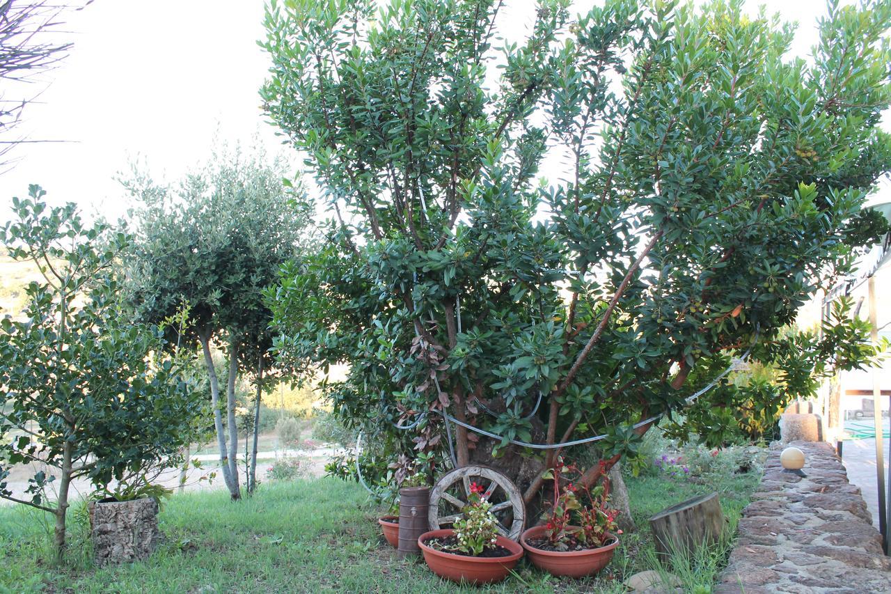 Agriturismo Su Recreu Ittiri Buitenkant foto