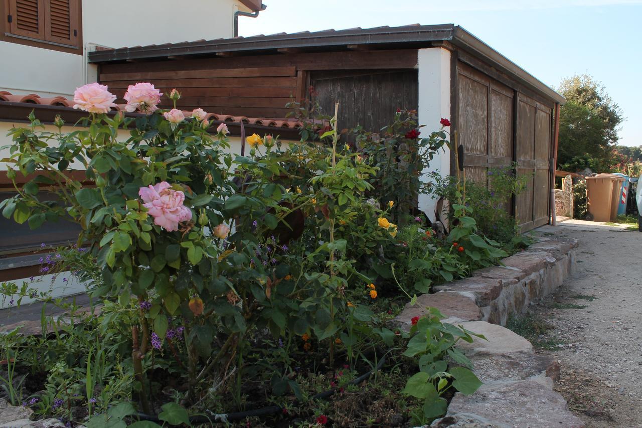Agriturismo Su Recreu Ittiri Buitenkant foto