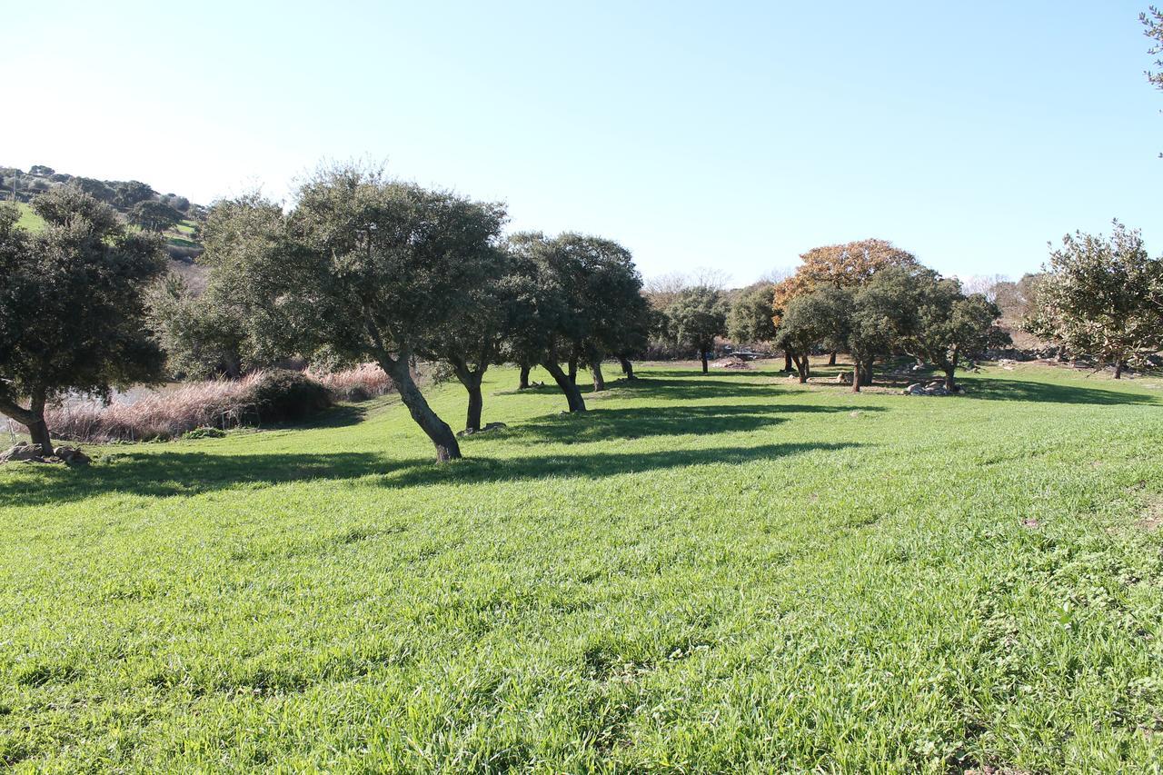Agriturismo Su Recreu Ittiri Buitenkant foto